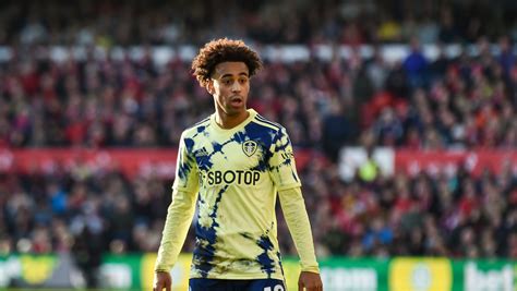 Tyler Adams injury a worry for Leeds in relegation fight